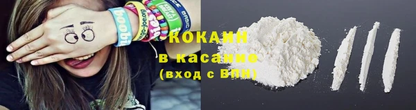 крисы Бугульма