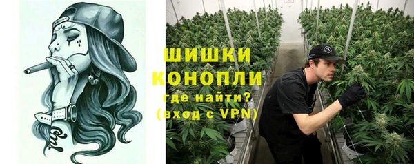 крисы Бугульма