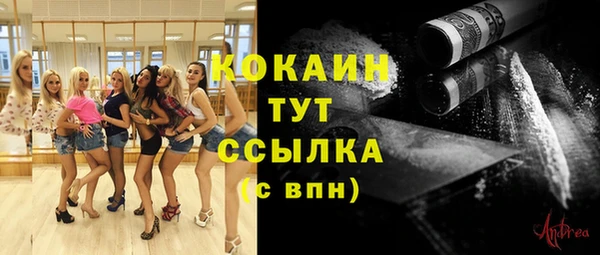 крисы Бугульма
