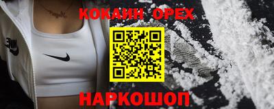 сатива Гай