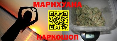 сатива Гай