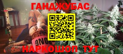 сатива Гай