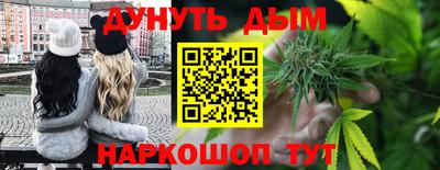 сатива Гай
