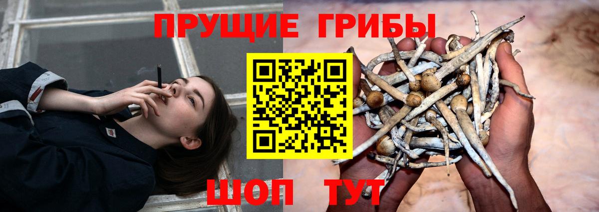 Галлюциногенные грибы ЛСД Можайск